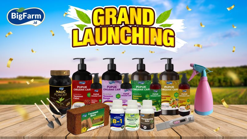 GRAND LAUNCHING