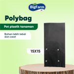 POLYBAG 15X15 (1)