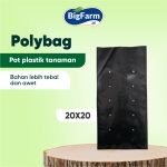 POLYBAG 20X20 (2)