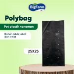 POLYBAG 25X25 (2)