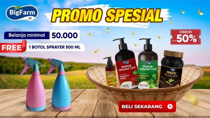 PROMO (1)