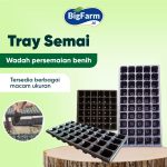 SAMPUL TRAY SEMAI